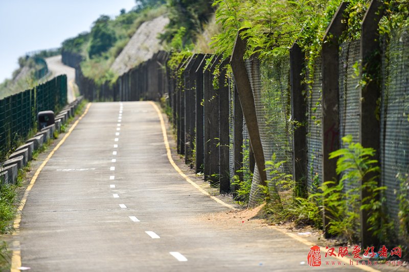 位于深圳市盐田区的深圳经济特区打点线（2015年8月25日摄）。