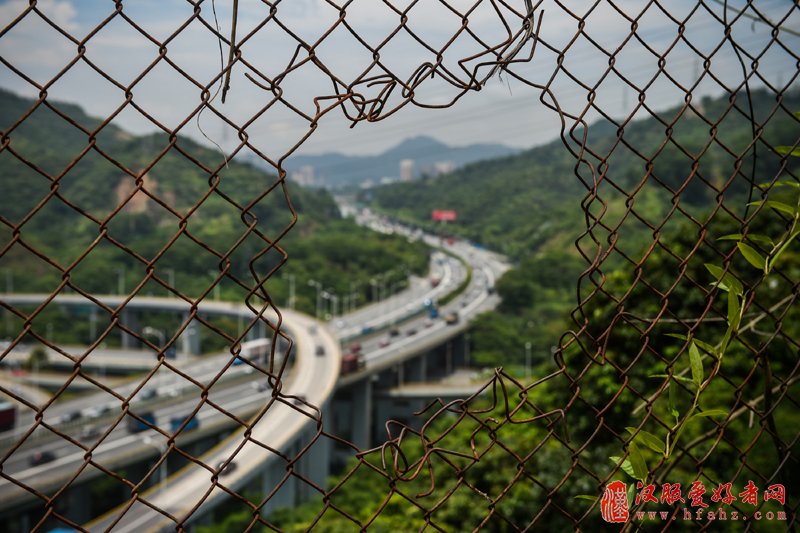 这是透过深圳经济特区打点线铁丝网拍摄的南坪快速路和福龙路（2015年7月17日摄）。