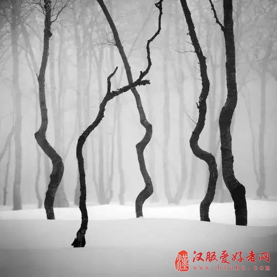 记录银装素裹的冰雪世界 拍摄雪景的五大技巧