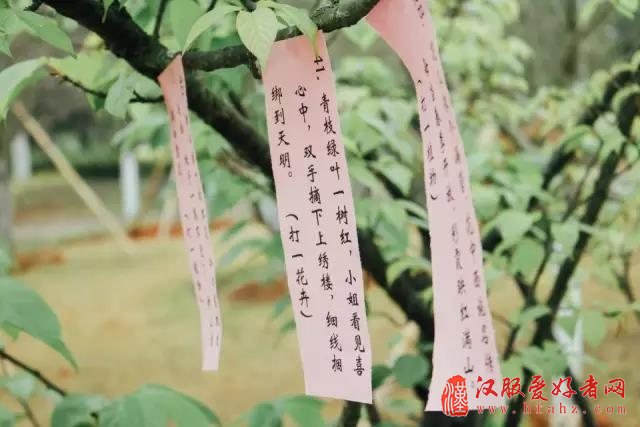  当代汉服实践与发展之花朝节探索新思路