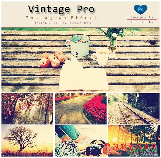 Vintage Pro