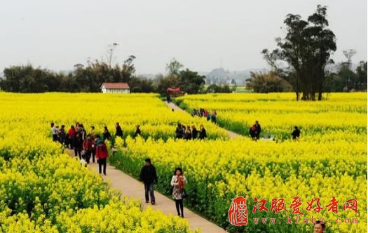 摄影圣地！湖北这里藏着一片油菜花海，颜值简